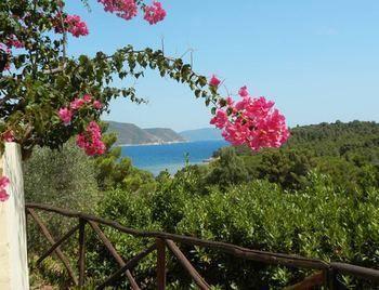Apartment Galenzana Marina di Campo