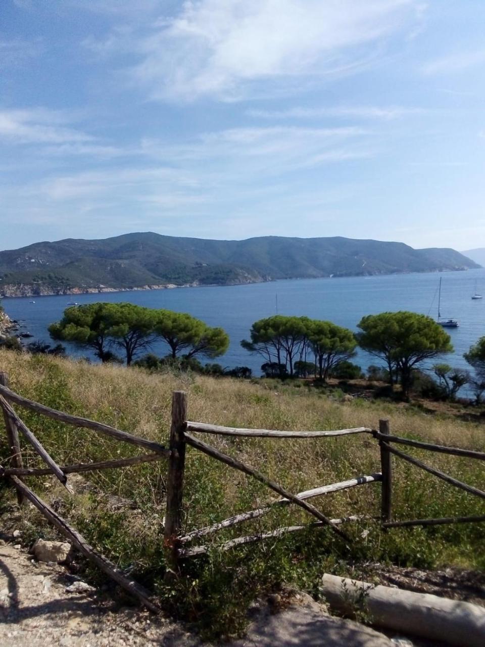 Galenzana